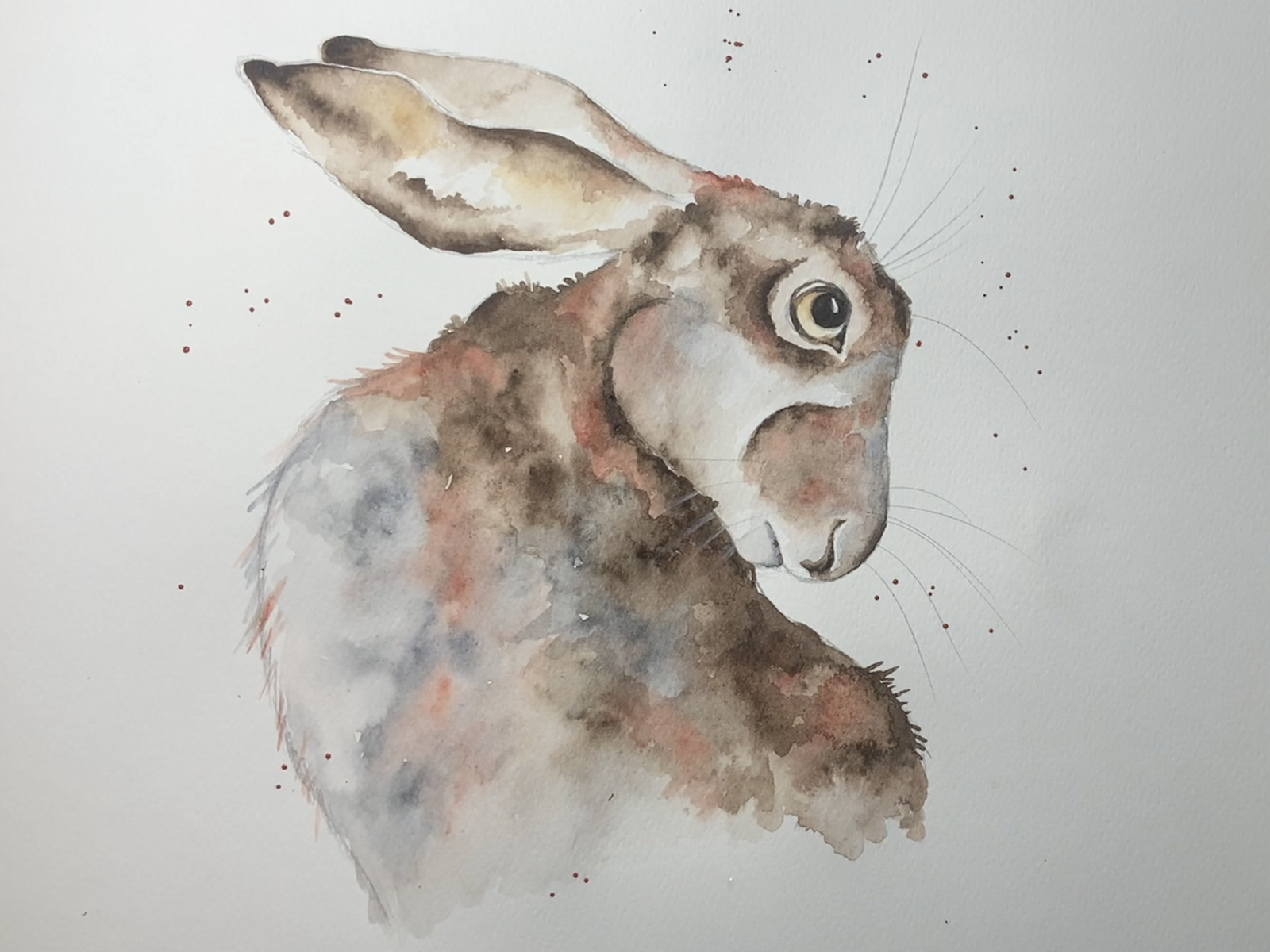 Featured image for “Watercolour Hare”