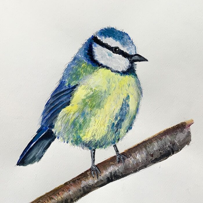 Featured image for “Bluetit Painting”