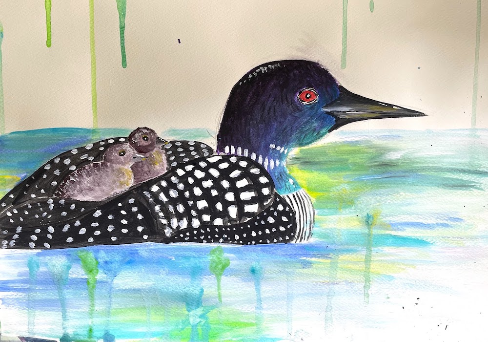 Featured image for “Loon and chicks”