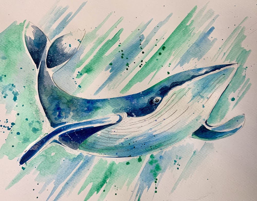 Featured image for “Whale in Watercolours”
