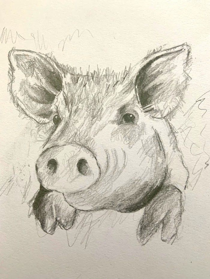 Featured image for “Pig in Pencil”