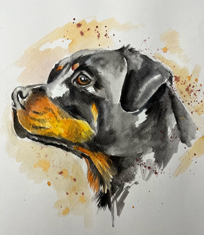 Featured image for “Rottweiler in Watercolour”