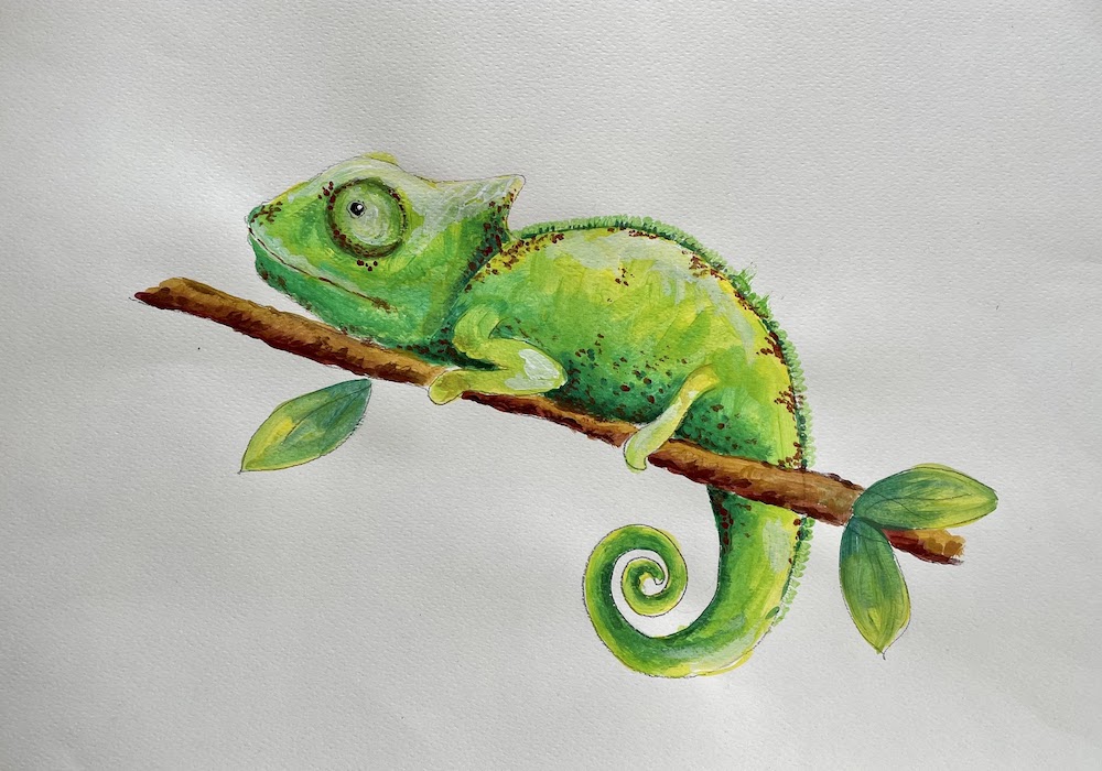 Featured image for “Watercolour Chameleon”