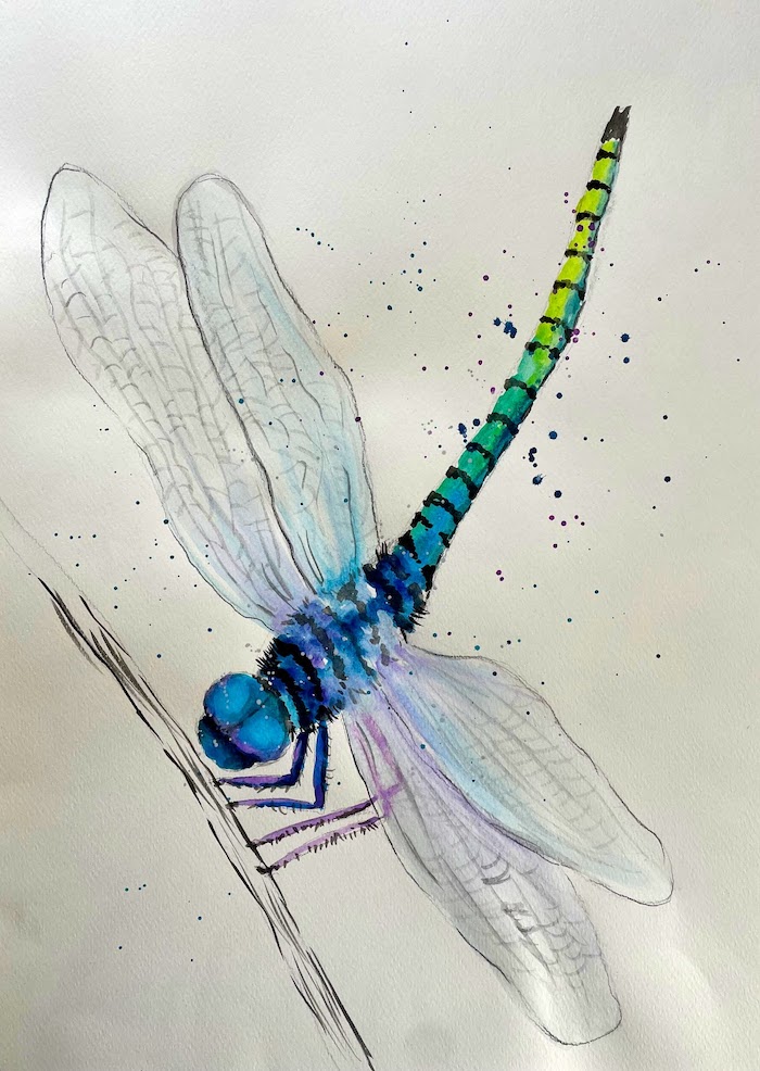 Featured image for “Watercolour Dragonfly”