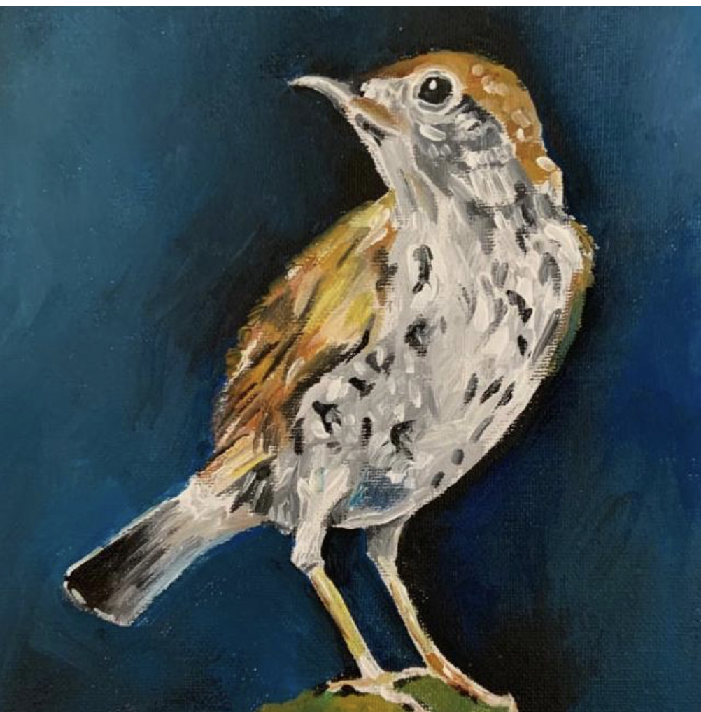 Featured image for “Song Thrush Painting”
