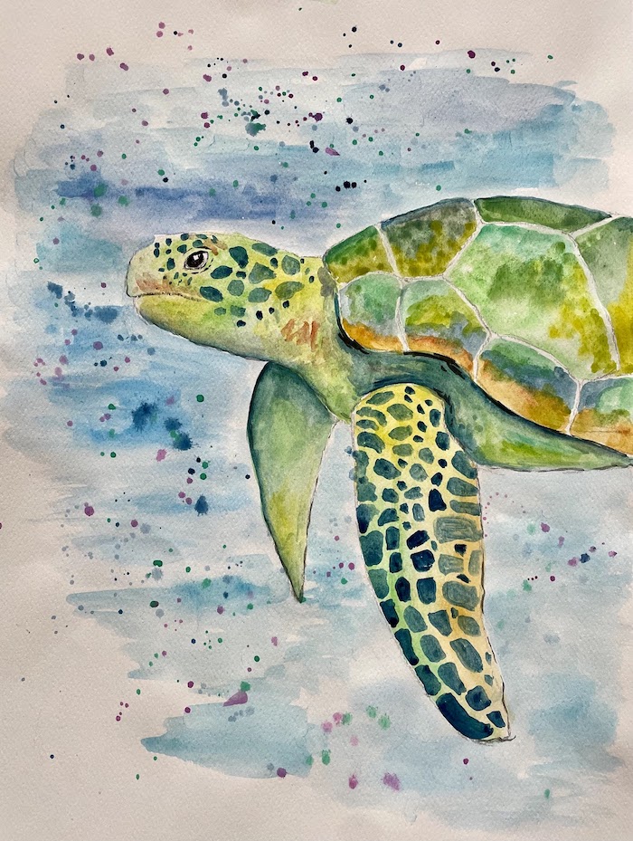 Featured image for “Watercolour Turtle”