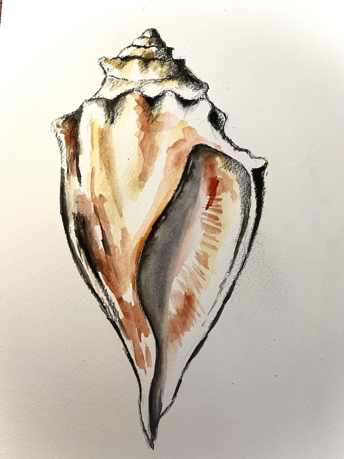 Featured image for “Whelk Shell in Watercolours”