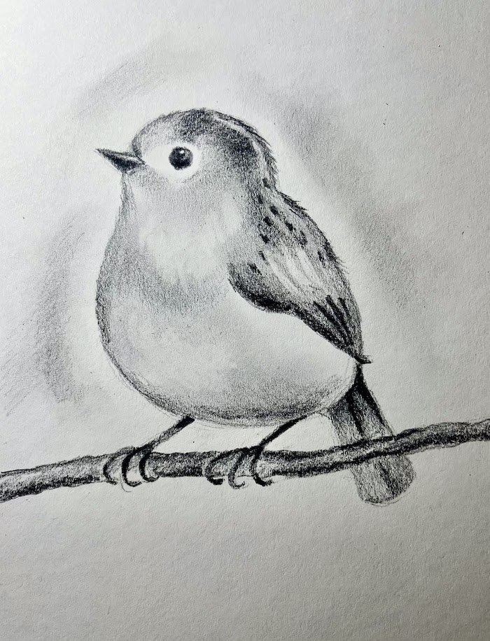 Featured image for “Fledgling in Pencil”