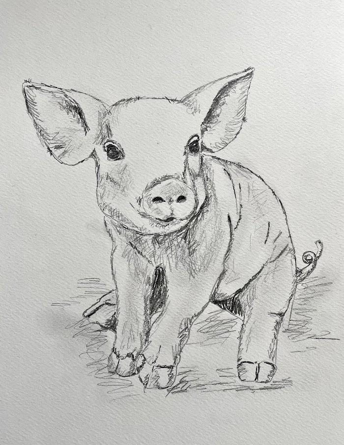 Featured image for “Piglet Drawing”