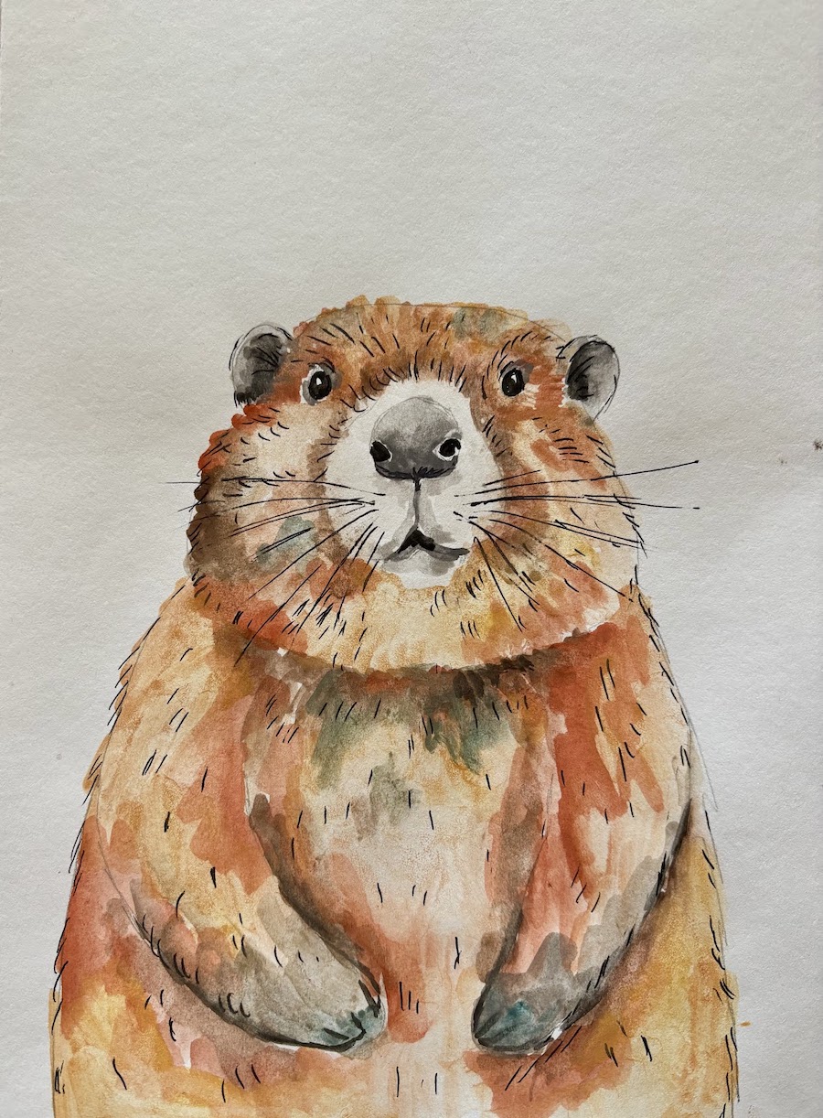 Featured image for “Watercolour beaver”