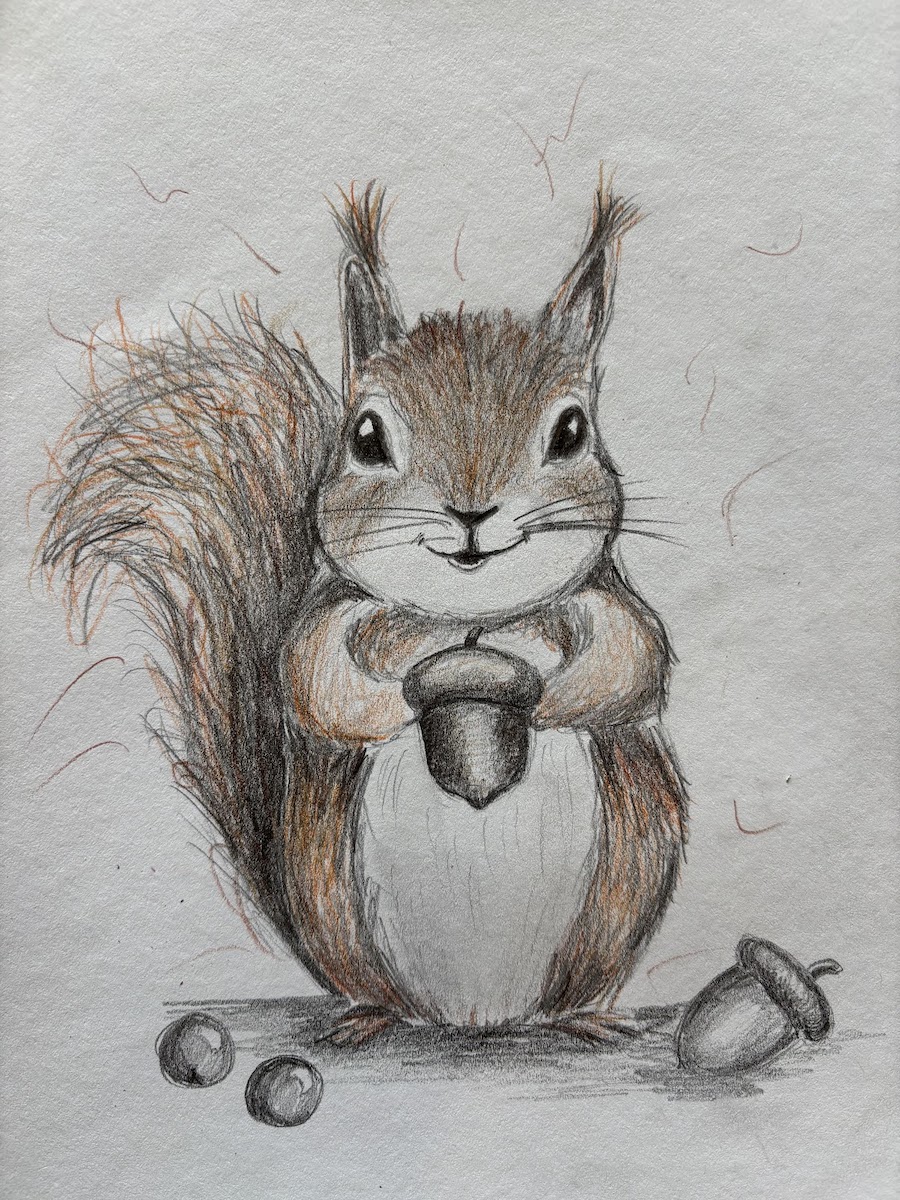 Featured image for “Red squirrel drawing in pencil crayon”