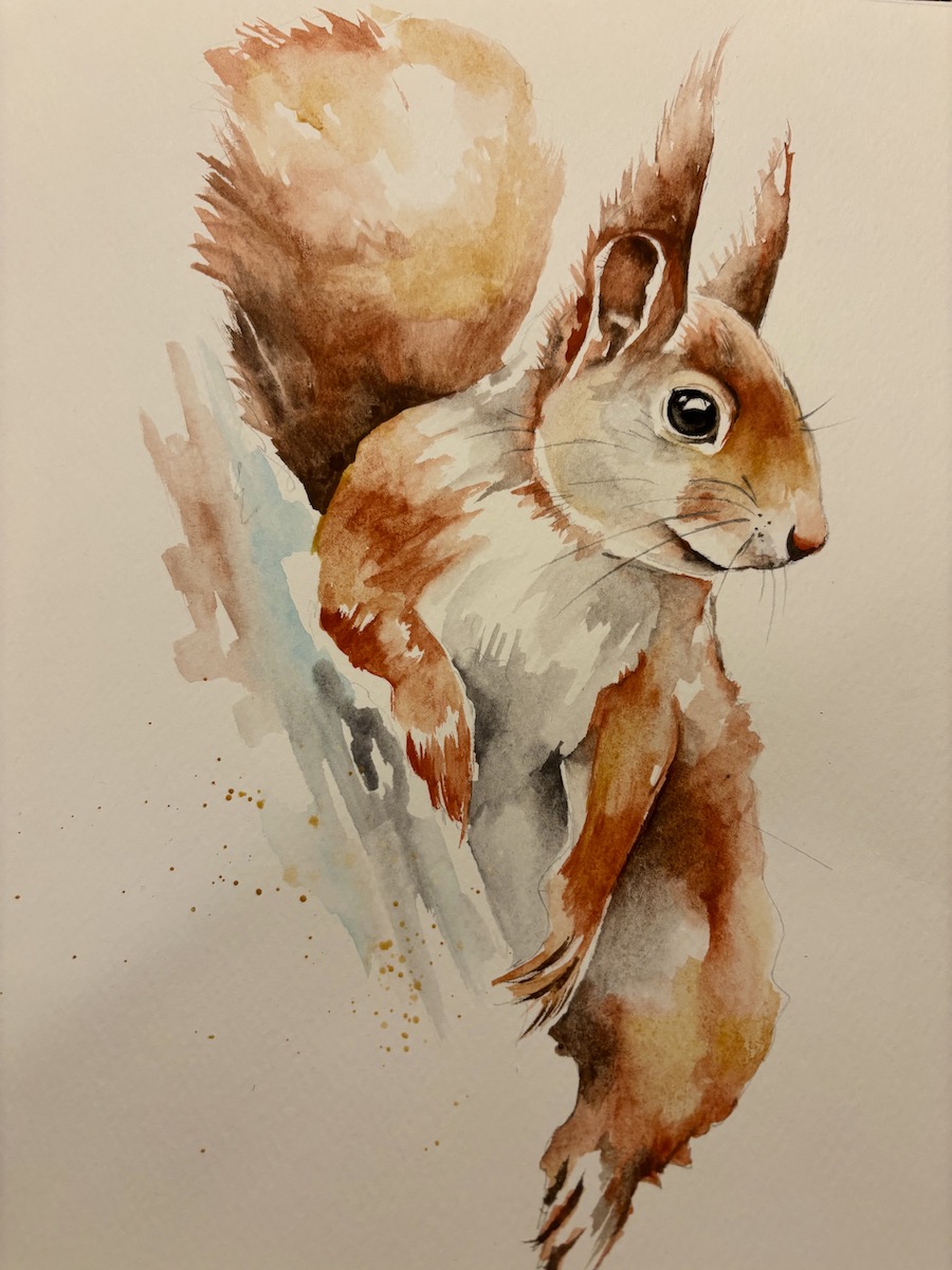 Featured image for “Red squirrel watercolour”