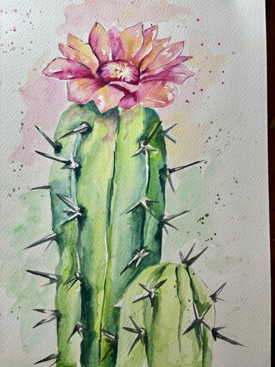 Featured image for “Cactus in watercolour”