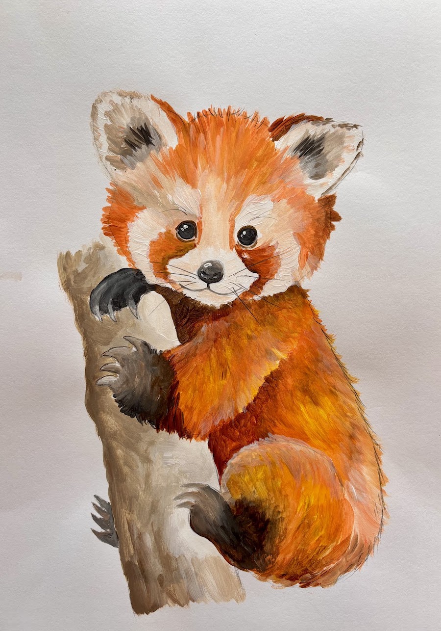Featured image for “Red panda”
