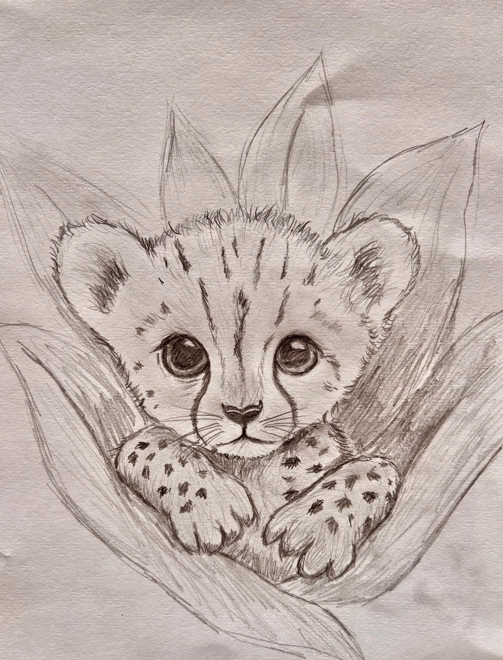 Featured image for “Leopard cub drawing”