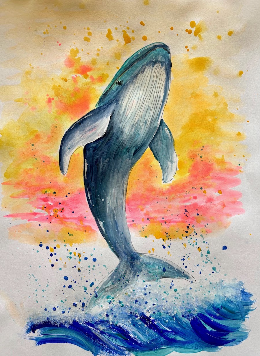 Featured image for “Blue whale”