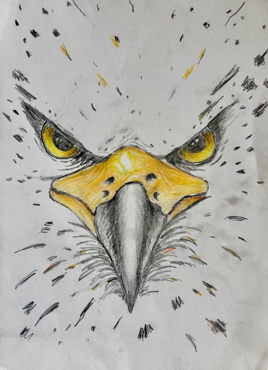 Featured image for “Eagle zoom in!”