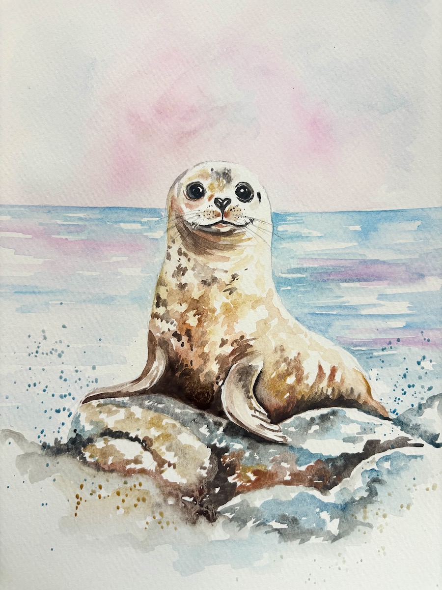 Featured image for “Seal pup”