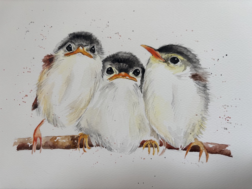 Featured image for “Baby birds”