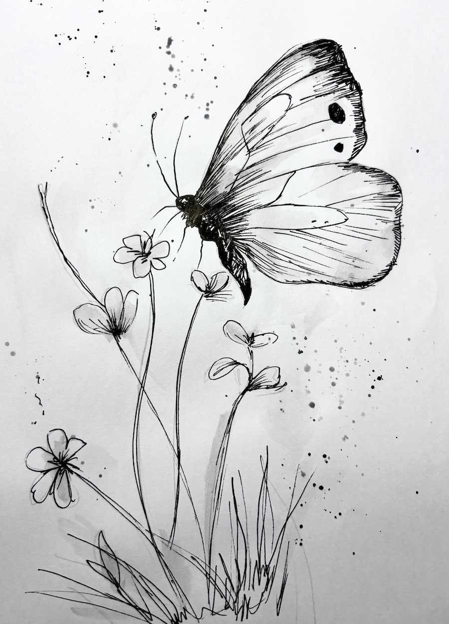 Featured image for “Pen & wash butterfly”