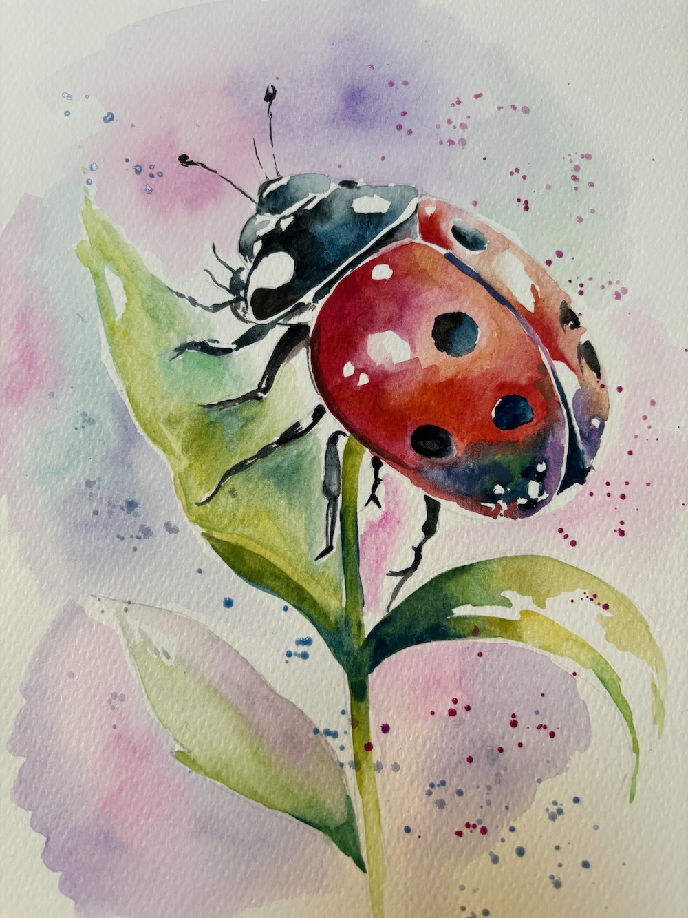 Featured image for “Watercolour ladybird”