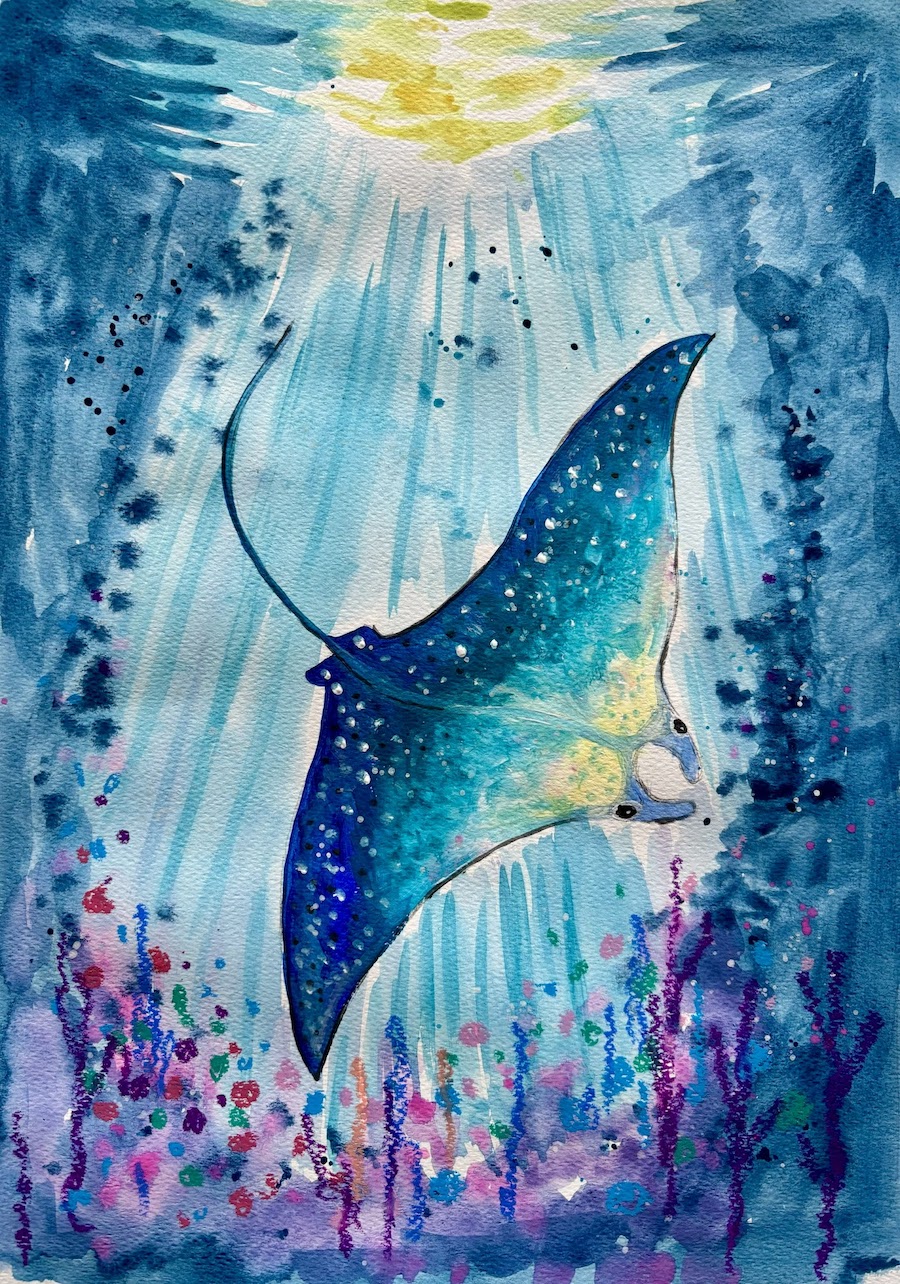 Featured image for “Stingray!”