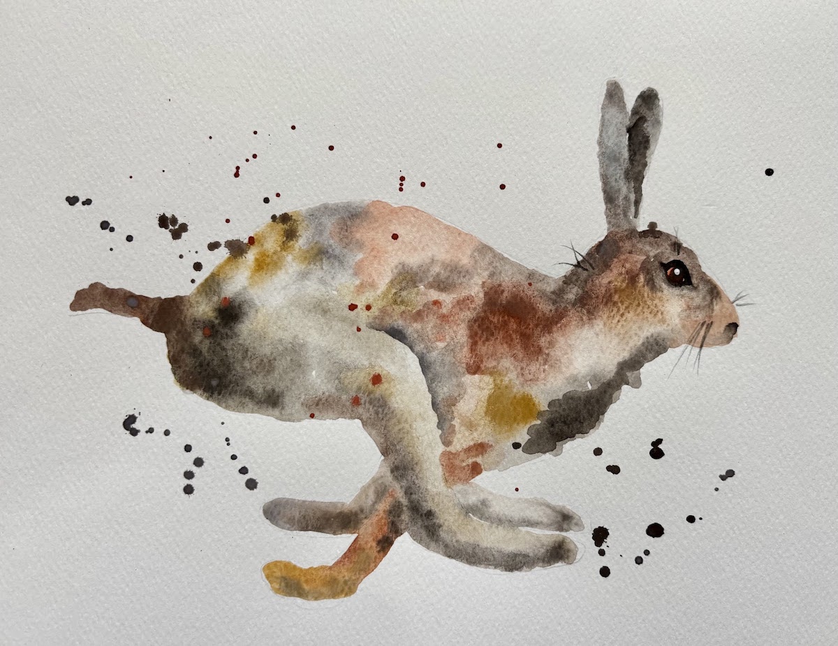 Featured image for “Watercolour hare”