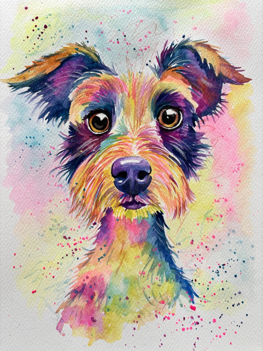 Featured image for “Colourful pup”