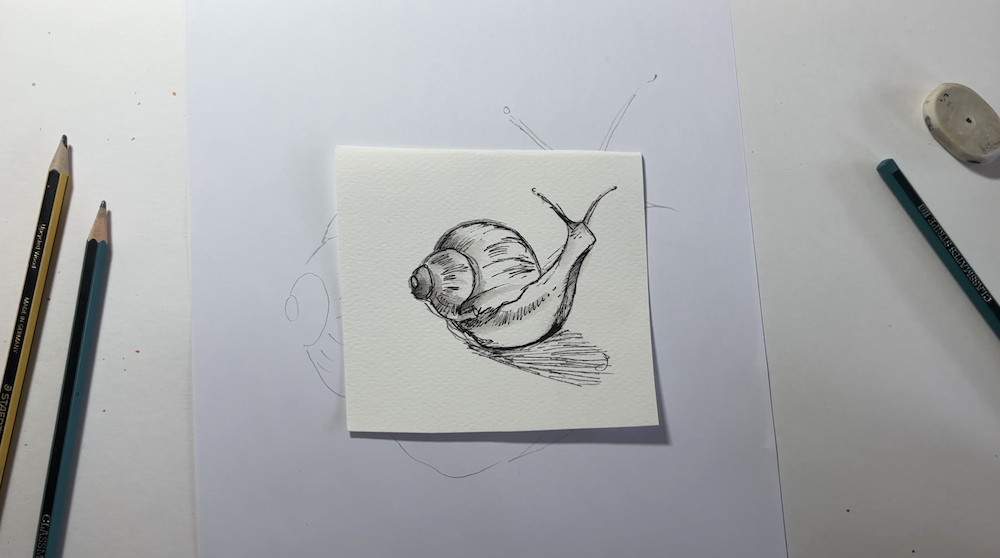 Featured image for “Snail sketch”