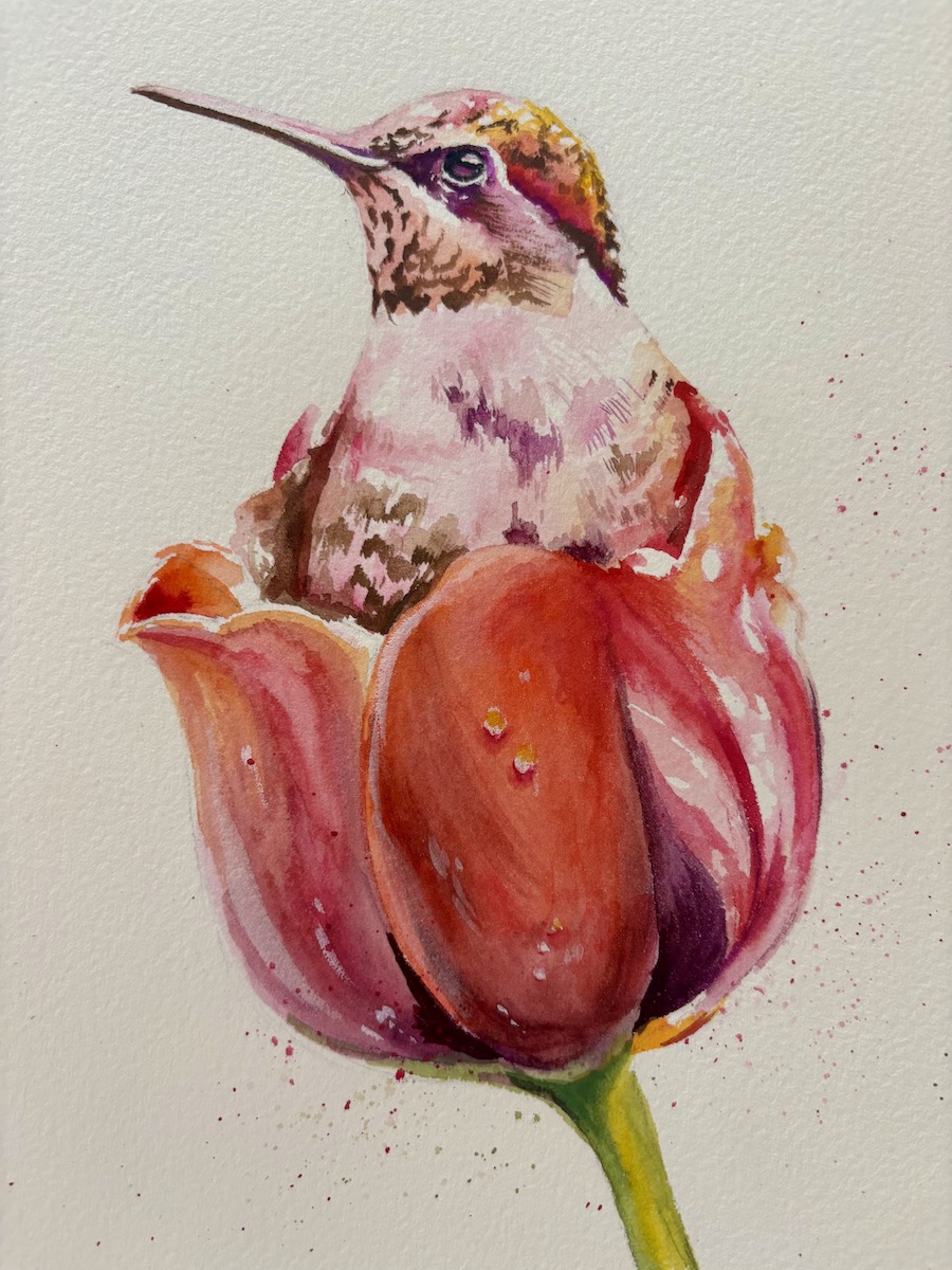 Featured image for “Hummingbird with tulip”