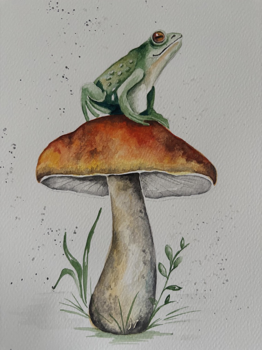 Featured image for “Toad on a toadstool!”