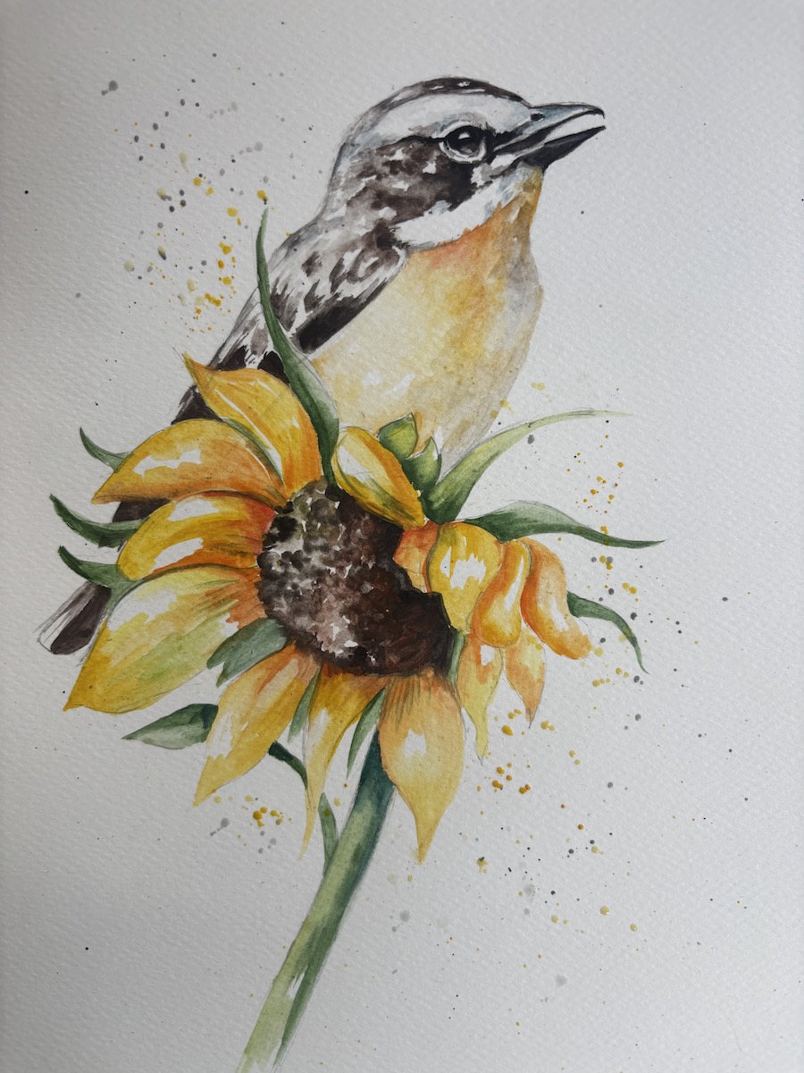 Featured image for “Warbler with sunflower”