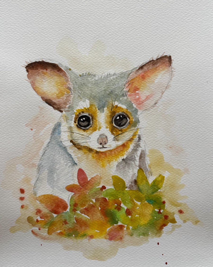 Featured image for “Bush baby!”