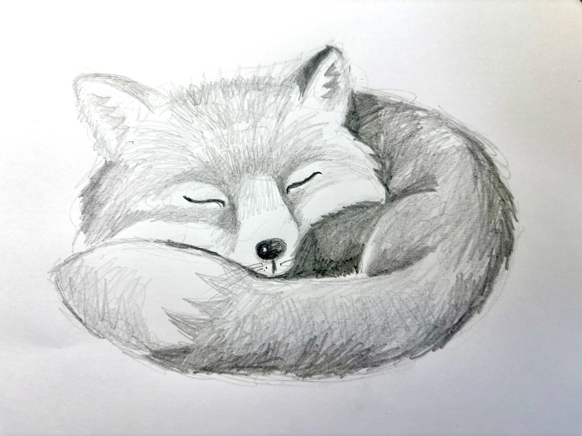 Featured image for “Fox cub drawing”